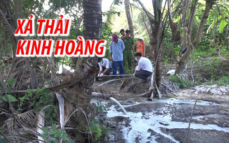 Kinh hãi cảnh xả chất thải màu trắng đục thẳng ra môi trường