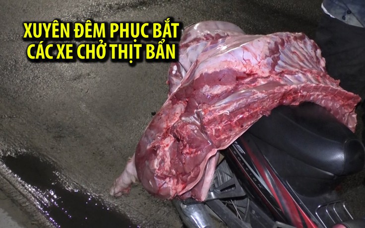 Suốt đêm phục bắt các xe chở thịt bẩn ở Đà Nẵng
