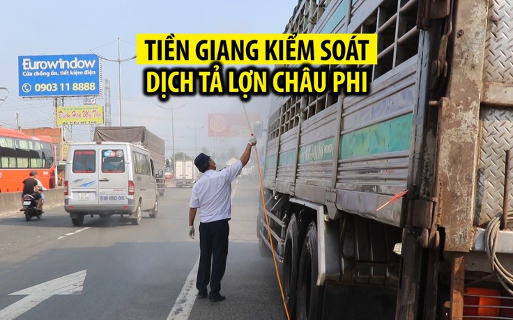 Tiền Giang tăng cường kiểm soát dịch tả lợn châu Phi