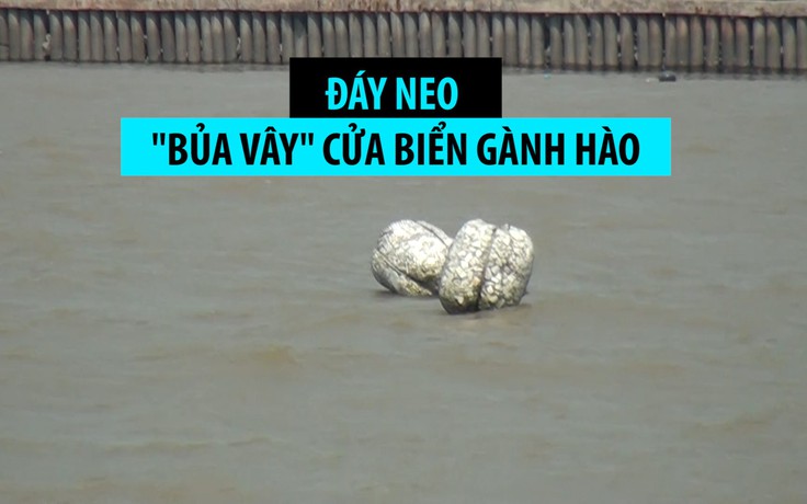 Ngư dân kêu khổ vì đáy neo “bủa vây” cửa biển Gành Hào