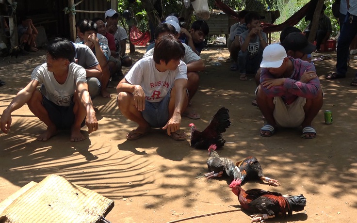 Trường gà vỡ trận, hàng chục con bạc xếp hàng ngán ngẩm dưới nắng hè
