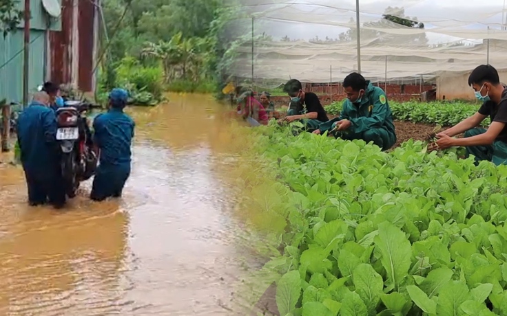 TP.Đồng Xoài di dời tài sản, hỗ trợ người dân thu hoạch hoa màu chạy lũ