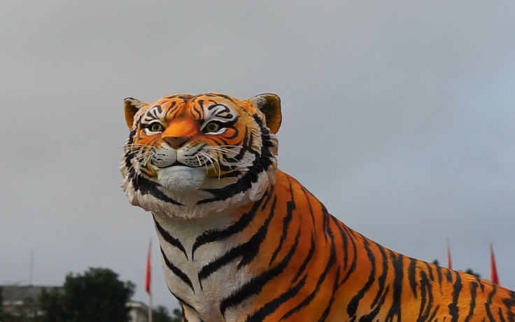 Người Quảng Trị kéo đến xem con hổ “siêu to khổng lồ” ở Đông Hà