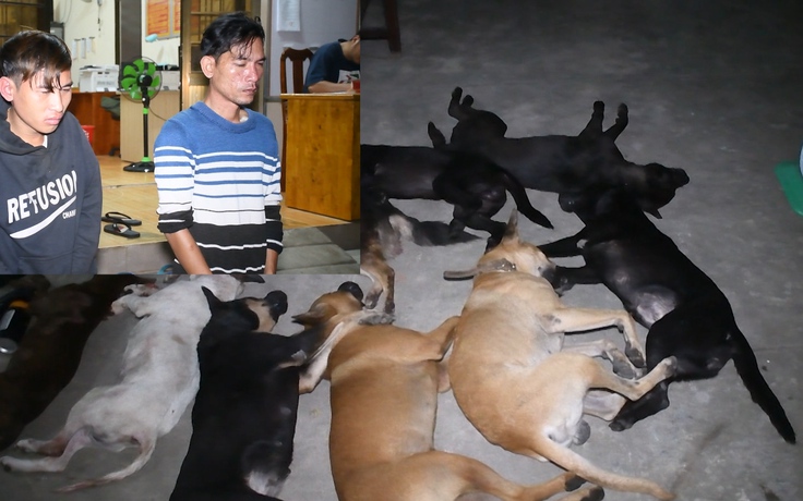 Bắt hai người nửa đêm chạy khắp Trà Vinh, bắn trộm 9 con chó