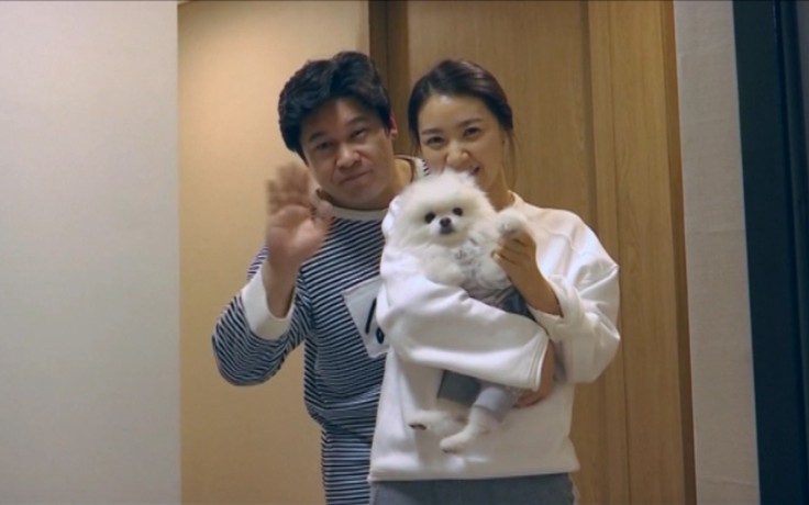 Vợ chồng trẻ Hàn Quốc tìm khuây khỏa ở thú cưng vì sợ không đủ sức nuôi con