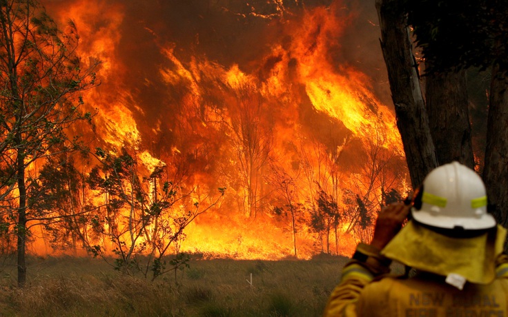 Cháy rừng ngày càng nghiêm trọng, Úc sẵn sàng cho tình huống 'thảm họa'