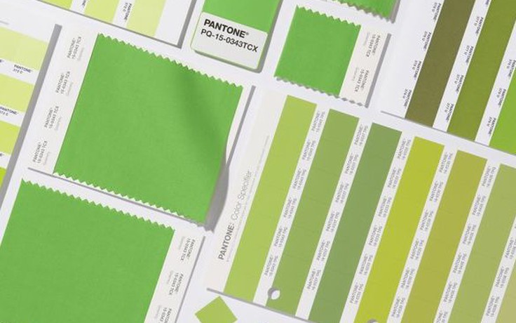 Pantone công bố tông màu của năm 2017