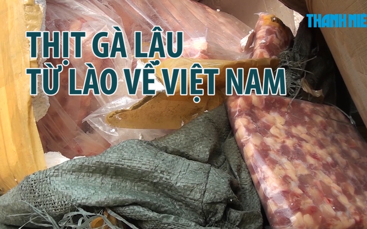 Vận chuyển 400 kg thịt gân gà nhập lậu từ Lào bằng xe không biển số