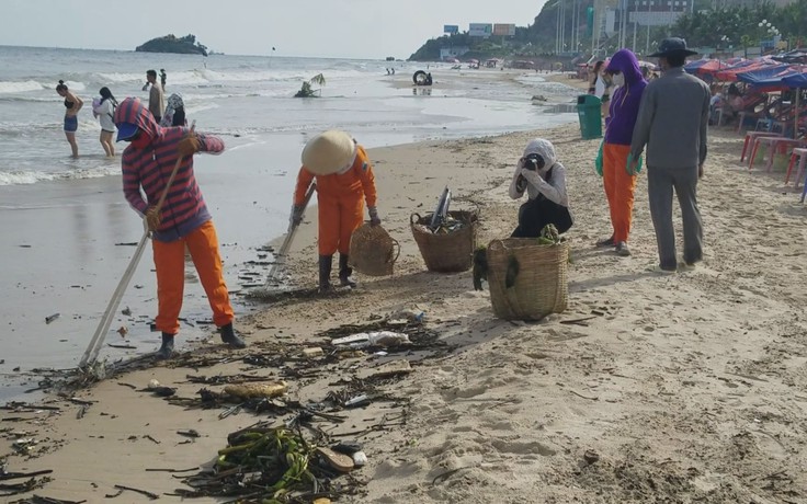 Bãi biển Vũng Tàu tràn ngập rác, thu gom 2 ngày chưa hết