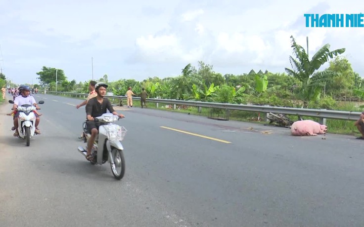 Bị xe tải tông chết khi đang đẩy xe chở heo