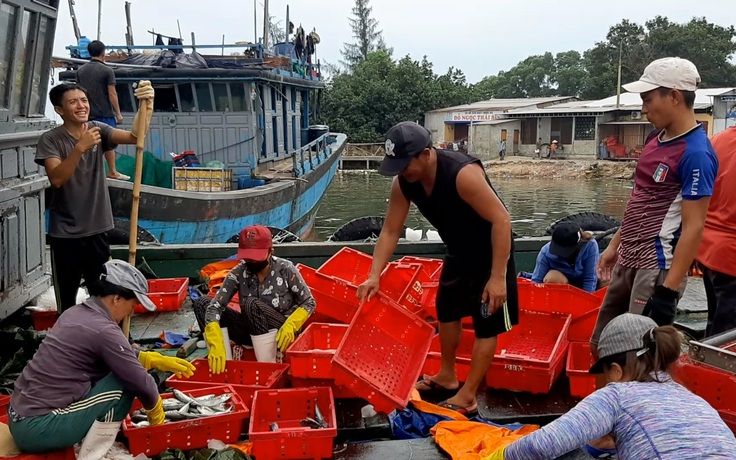 Ngư dân Thừa Thiên - Huế hối hả “giải phóng” cá để đi trú bão số 5