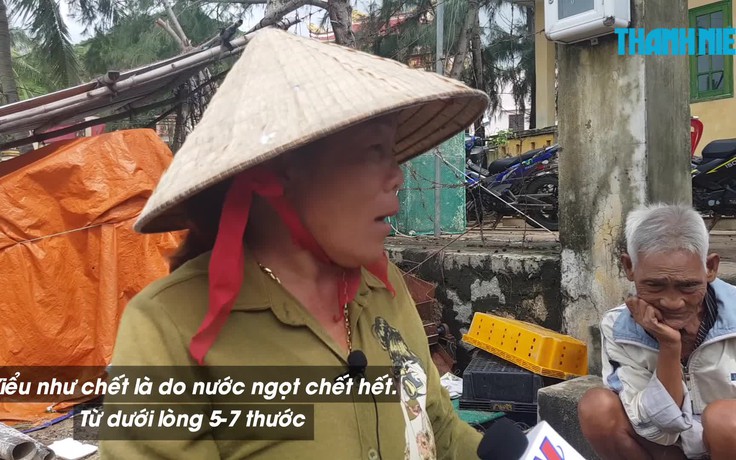 Lũ qua, người nuôi tôm hùm trắng tay