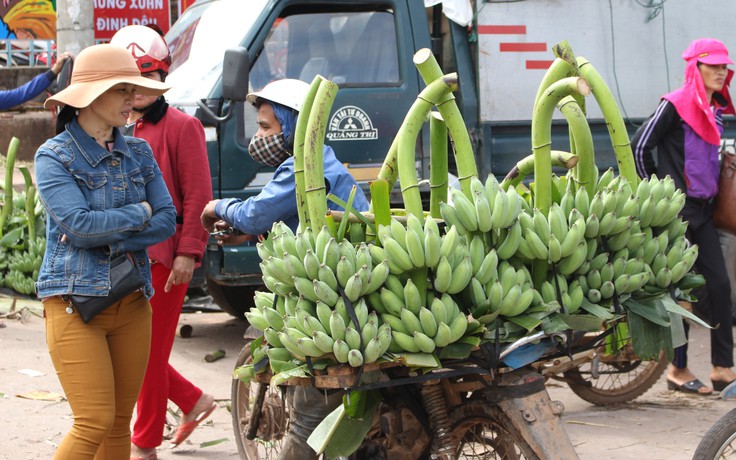 Nhộn nhịp chợ chuối Tết vùng biên