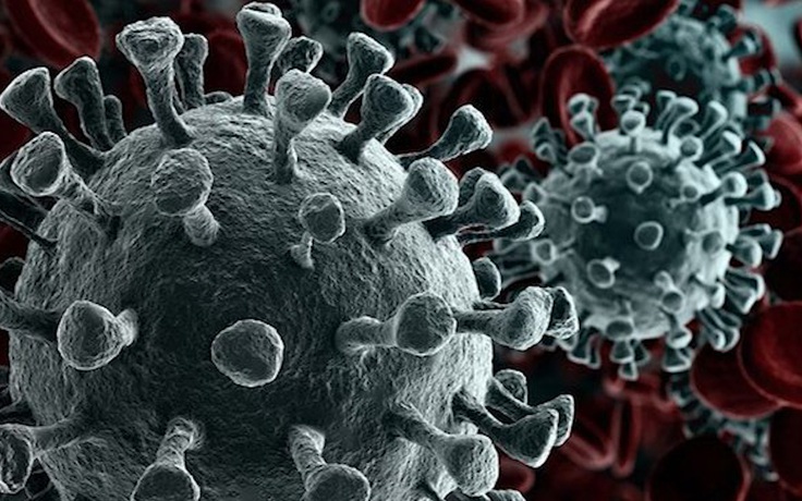 Virus corona gây Covid-19 có thể đã lây lan ở Mỹ từ cuối năm 2019
