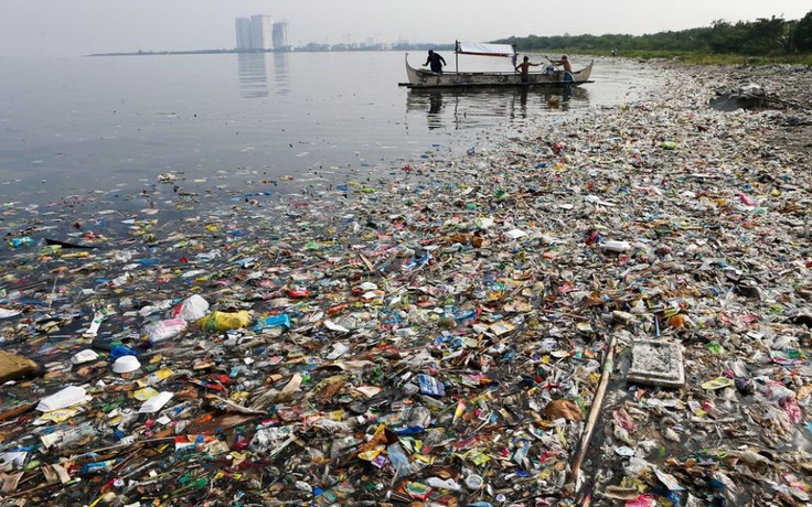 Những người thích hải sản đang ăn hàng ngàn mảnh nhựa mỗi năm?