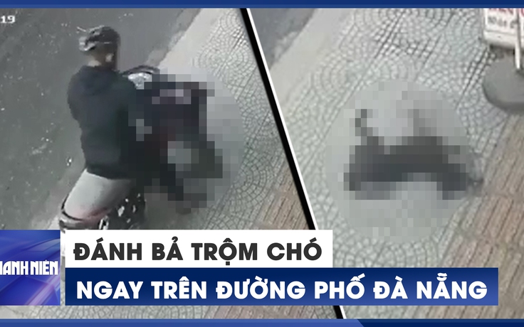 Phẫn nộ vụ đánh bả trộm chó ngay trên đường phố Đà Nẵng