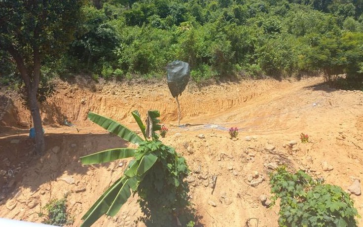 Đà Nẵng: Được giao đất trồng dược liệu, lại phá rừng Nam Hải Vân