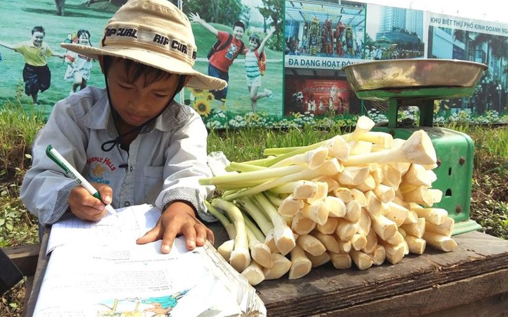 Nhói lòng hình ảnh cậu bé vừa bán rau vừa tự học bên lề đường