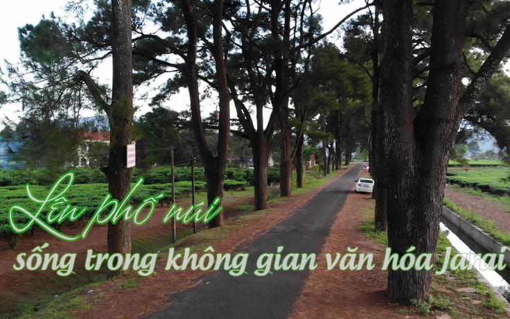 Lên phố núi sống trong không gian văn hóa Jarai