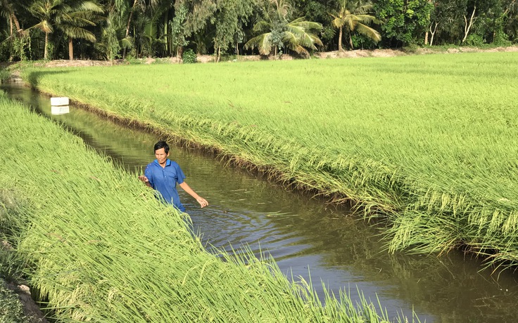 Không để nông dân đơn độc trong hạn mặn Không để nông dân đơn độc trong hạn mặn