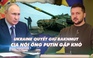 Xem nhanh: Ngày 345, Ukraine quyết giữ Bakhmut; CIA nói chiến dịch Nga càng kéo dài ông Putin càng bất lợi