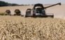Vì sao Ba Lan muốn châu Âu hạn chế nhập ngũ cốc Ukraine?