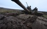 Ukraine chưa tung vũ khí phương Tây phản công Nga vì yếu tố này