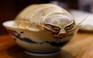 Món mì bọ biển thu hút thực khách Đài Loan, chuyên gia cảnh báo gì?
