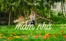 'Mầm nhớ' | Cuộc thi phim ngắn Vietnamese