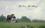 'The One, The Many' | Cuộc thi phim ngắn Vietnamese 2025