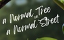 'A normal tree on a normal street' | Cuộc thi phim ngắn Vietnamese 2025