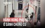 Công an làm việc với người hành hung phụ nữ ở sảnh chung cư