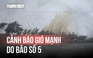 Bão số 5: Cảnh báo gió mạnh khi bão đổ bộ đất liền vào chiều 25.8