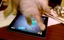 Mèo chơi game trên iPad