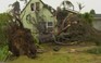 Lốc xoáy mini tại New Zealand, 3 người chết