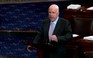 Thượng nghị sĩ McCain kêu gọi không kích Syria
