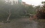 Thiệt hại ban đầu của bão số 11 tại Thừa Thiên - Huế