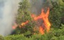 Indonesia xin lỗi vụ khói cháy rừng
