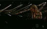 All Too Well - Taylor Swift - Grammy 2014
