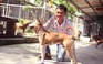 Chàng trai 8X nuôi cơ ngơi chó Phú Quốc thu hàng trăm triệu đồng ở Sài Gòn