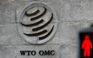 Nhiều nước đòi WTO điều tra thuế suất kim loại của Mỹ