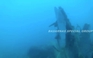 Rơi máy bay Indonesia: tìm thấy thân máy bay, nhưng một thợ lặn thiệt mạng