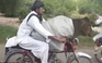 Hài hước người đàn ông chở bò bằng xe máy