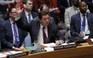 Nga phủ quyết nghị quyết của LHQ về Syria