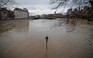 Sông Seine dâng cao, chuột Paris nhốn nháo tìm chỗ trú