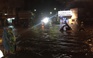 [VIDEO] Bão Thần Sấm chưa vào: Hà Nội ngập, cây xanh đổ sau mưa lớn