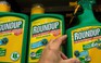 Pháp cấm thuốc diệt cỏ Roundup
