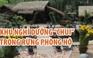 Tháo dỡ khu nghỉ dưỡng 'chui' trong rừng phòng hộ ở Quảng Nam
