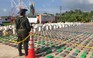 Colombia: Tịch thu lượng cocaine lớn nhất lịch sử