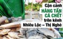 Cận cảnh hàng tấn cá chết trên kênh Nhiêu Lộc – Thị Nghè